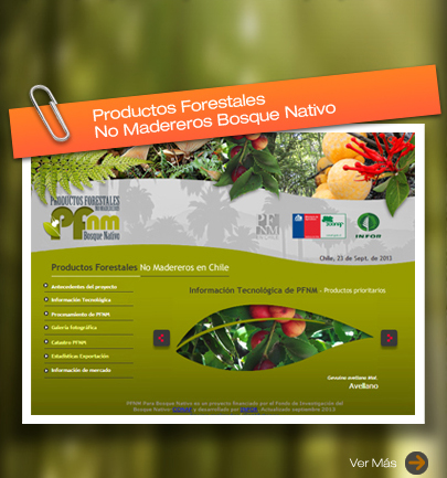 Ver WEB Productos Forestales No Madereros